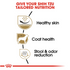 Royal Canin Breed Health Nutrition Shih Tzu Adult Dry Dog Food