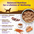 Wellness Complete Health Natural Duck and Sweet Potato Recipe Wet Canned Dog Food