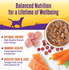 Wellness Natural Turkey Stew with Barley and Carrots Wet Canned Dog Food