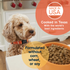 Canidae All Life Stages Dry Dog Food, Multi-Protein Recipe