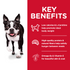 Hill's Science Diet Adult Light SM Bites Chicken Meal & Barley Dry Dog Food
