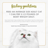 Fancy Feast Classic Pate Turkey and Giblets Wet Cat Food