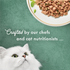Fancy Feast Elegant Medleys Shredded Salmon Wet Cat Food