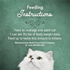 Fancy Feast Elegant Medleys Shredded Salmon Wet Cat Food