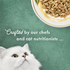 Fancy Feast Elegant Medleys Chicken Tuscany Wet Cat Food
