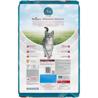 Purina ONE Urinary Tract Health Formula Dry Cat Food