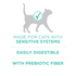 Purina One Sensitive Skin and Stomach Dry Cat Food