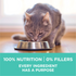 Purina One Sensitive Skin and Stomach Dry Cat Food