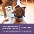 One SmartBlend Vibrant Maturity Senior 7+ Dry Dog Food