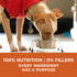 Purina One SmartBlend Healthy Weight Turkey Dry Dog Food