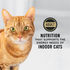 Purina Pro Plan Indoor Care Turkey and Rice Dry Cat Food
