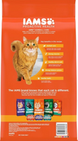Iams ProActive Health Hairball Care Dry Cat Food