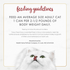 Fancy Feast Gravy Lover Beef Wet Cat Food