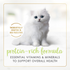 Fancy Feast Tender Turkey Feast Wet Kitten Food