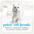Fancy Feast Gravy Lover Whitefish Wet Cat Food