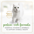 Fancy Feast Gravy Lovers Salmon Wet Cat Food