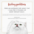 Fancy Feast Grilled Beef Liver Wet Cat Food