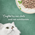 Fancy Feast Elegant Medleys Florentine Variety Pack Wet Cat Food
