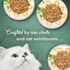 Fancy Feast Elegant Medleys Shredded Tuna Wet Cat Food
