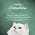Fancy Feast Elegant Medleys Salmon Primavera Wet Cat Food