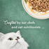 Fancy Feast Elegant Medleys Tuna Tuscany Wet Cat Food