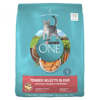 Purina ONE Tender Selects Blend Real Salmon Dry Cat Food