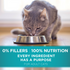 Purina One Tender Selects Blend Real Salmon Dry Cat Food