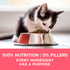 Purina One Plus Healthy Kitten Dry Kitten Food
