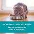 Purina One Grain Free Chicken Pate Wet Cat Food