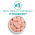 One Grain Free Premium Pate Whitefish Wet Cat Food