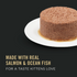 ProPlan Classic Salmon & Ocean Fish Wet Kitten Food