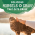 Natural Balance Original Ultra Platefulls Wet Cat Food, Chicken & Giblets Morsels in Gravy Recipe
