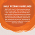 Natural Balance Original Ultra Platefulls Wet Cat Food, Turkey, Chicken, & Duck Morsels in Gravy Recipe