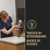 ProPlan Sensitive Skin & Stomach Lamb and Rice Dry Cat Food