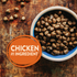 Wellness Core Grain Free Natural Puppy Health Chicken & Turkey Recipe Dry Dog Food