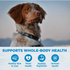 Wellness Simple Natural Limited Ingredient Diet Lamb and Oatmeal Recipe Dry Dog Food
