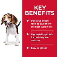 Hill's Science Diet Puppy Savory Stew with Chicken & Vegetables Canned Dog Food