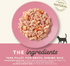 Applaws Natural Tuna with Shrimp in Broth Can Cat Food