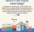 Applaws Natural Tuna with Shrimp in Broth Can Cat Food