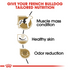 Royal Canin Breed Health Nutrition French Bulldog Adult Dry Dog Food