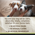 Merrick Limited Ingredient Diet Real Lamb Recipe Canned Dog Food