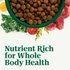 Nutro Wholesome Essentials Healthy Weight Large Breed Adult Farm-Raised Chicken, Rice & Sweet Potato Dry Dog Food