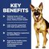 Hill's Science Diet Adult 6+ LG Breed Chicken Meal, Rice, & Barley Recipe Dry Dog Food