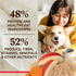 Merrick Healthy Grains Beef and Brown Rice Adult Dry Dog Food