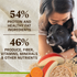 Merrick Healthy Grains Lamb and Brown Rice Adult Dry Dog Food