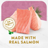 Fancy Feast Classic Broths Wild Salmon and Vegetables Wet Cat Food