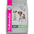 Eukanuba Lamb Small and Medium Breed Adult Dry Dog Food
