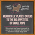 Merrick Lil' Plates Grain Free Dainty Duck Medley Small Breed Adult Wet Dog Food