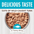 Instinct Healthy Cravings Grain Free Tuna Wet Cat Food Topper
