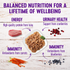 Wellness Healthy Indulgence Natural Grain Free Shreds with Tuna and Shrimp in Light Sauce Cat Food Pouch